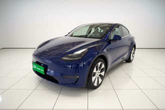 特斯拉 Model Y 2021款 长续航全轮驱动版 3D7