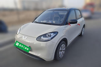 五菱汽车 五菱缤果 2023款 333km 快享款