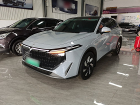 启辰大V DD-i 2023款 60km iD版