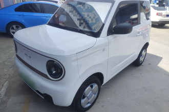 吉利银河 2024款 熊猫mini 200km 耐力熊