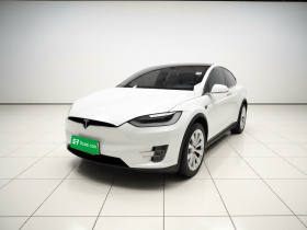 特斯拉 Model X 2019款 长续航版
