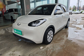 五菱汽车 五菱缤果 2023款 203km 轻享款