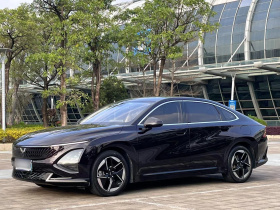 五菱汽车 五菱星光 2023款 150 进阶版