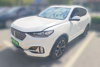 魏牌 VV6 2021款 2.0T 两驱智享+