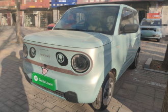 吉利银河 2023款 熊猫mini 200km 灵动熊