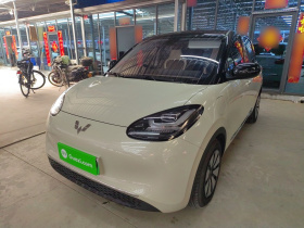 五菱汽车 五菱缤果 2023款 410km 灵犀尊享款