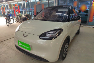 五菱汽车 五菱缤果 2023款 410km 灵犀尊享款