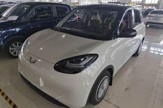 五菱汽车 五菱缤果 2023款 333km 悦享款