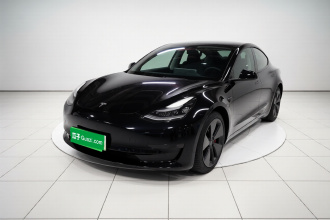 特斯拉 Model 3 2021款 标准续航后驱升级版 3D6