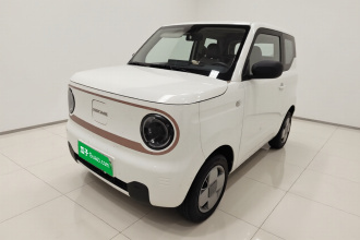 吉利银河 2024款 改款 熊猫mini 200km 龙腾版