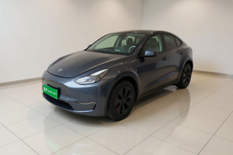 特斯拉 Model Y 2024款 长续航全轮驱动版