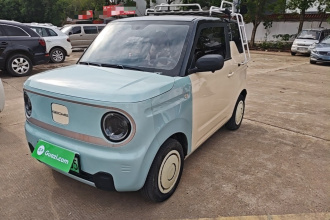 吉利银河 2023款 熊猫mini 200km 耐力熊