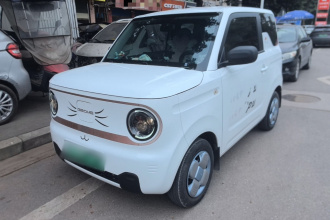 吉利银河 2023款 熊猫mini 200km 耐力熊