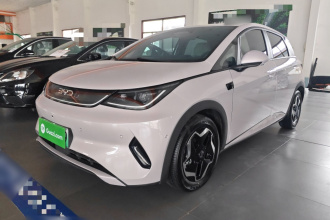 比亚迪 海豚 2025款 智驾版 420km 自由版