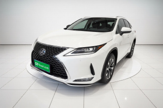 雷克萨斯RX 2020款 300 两驱精英版 国VI