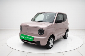 吉利银河 2024款 熊猫mini 200km 耐力熊