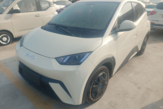 比亚迪 海鸥 2024款 荣耀版 305km 活力版