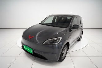 五菱汽车 五菱宏光新能源 2024款 纯电版 300KM 标准型