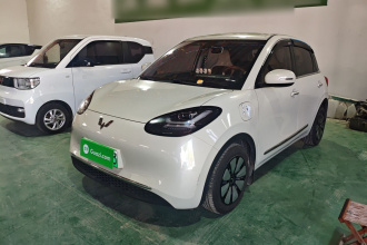 五菱汽车 五菱缤果 2023款 333km 悦享+款