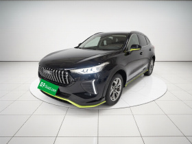 哈弗赤兔 2022款 劲享版 1.5T 紫铜兔