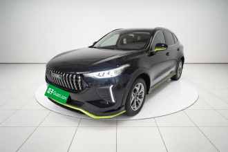 哈弗赤兔 2022款 劲享版 1.5T 紫铜兔