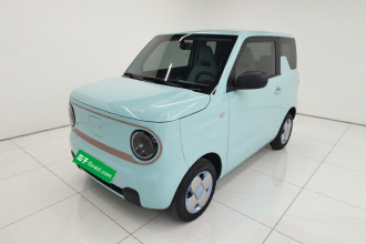 吉利银河 2023款 熊猫mini 200km 耐力熊