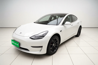 特斯拉 Model 3 2019款 标准续航后驱升级版