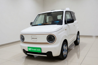吉利银河 2023款 熊猫mini 200km 耐力熊