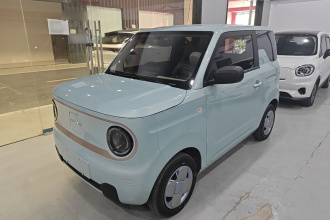 吉利银河 2023款 熊猫mini 200km 耐力熊