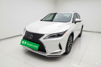 雷克萨斯RX 2020款 改款 300 两驱舒适版