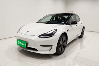特斯拉 Model 3 2022款 后轮驱动版