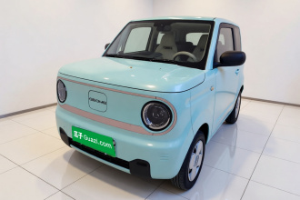 吉利银河 2023款 熊猫mini 200km 耐力熊