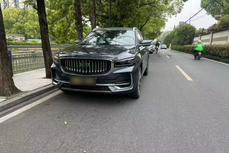 吉利汽车 星越L 2024款 2.0TD DCT EVO两驱长风版