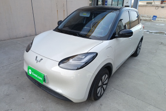 五菱汽车 五菱缤果 2024款 333km 悦享款