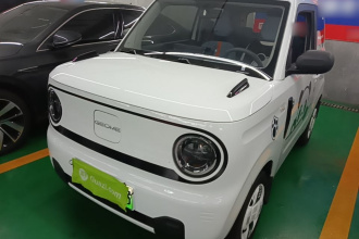 吉利银河 2024款 熊猫mini 200km 耐力熊