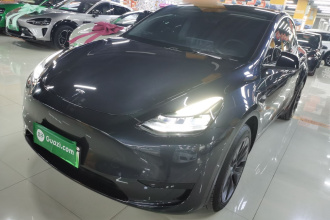 特斯拉 Model Y 2024款 后轮驱动版