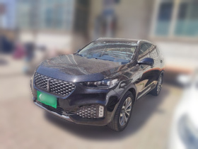 魏牌 VV6 2020款 2.0T 两驱智护+