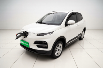 大运 悦虎 2022款 300 标准版