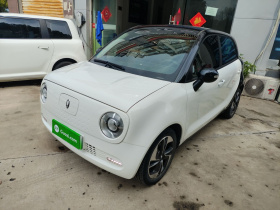 欧拉黑猫 2022款 351km 舒享型 三元锂