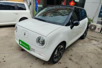 欧拉黑猫 2022款 351km 舒享型 三元锂