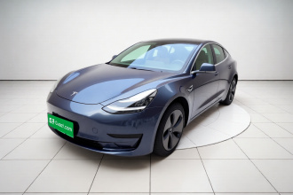 特斯拉 Model 3 2019款 标准续航后驱升级版