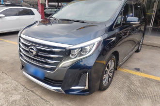 广汽传祺 传祺M8 2020款 领航款 390T 尊贵版