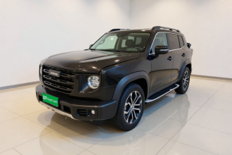 哈弗大狗 2021款 1.5T DCT两驱边牧版