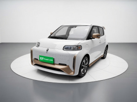 欧拉白猫 2022款 小野猫版 401km 旗舰型 三元锂