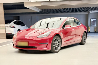 特斯拉 Model 3(进口) 2019款 长续航全轮驱动版