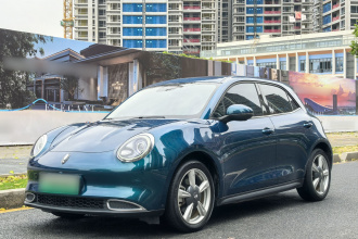 欧拉好猫 2022款 莫兰迪版 400km标准续航 尊贵型 磷酸铁锂