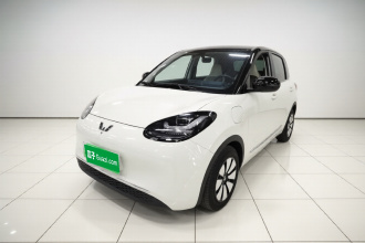 五菱汽车 五菱缤果 2024款 333km 悦享款