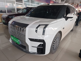 极氪009 2024款 七座过道版四驱 108kWh