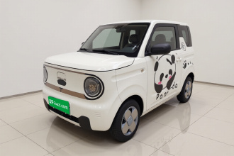 吉利银河 2023款 熊猫mini 200km 耐力熊