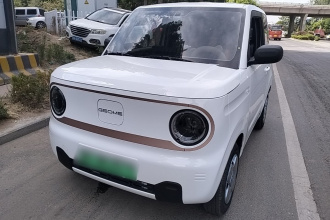 吉利银河 2024款 熊猫mini 200km 耐力熊